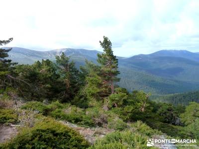 Peña Cítores, Cumbre Peñalara; verano senderismo; programa de actividades senderismo